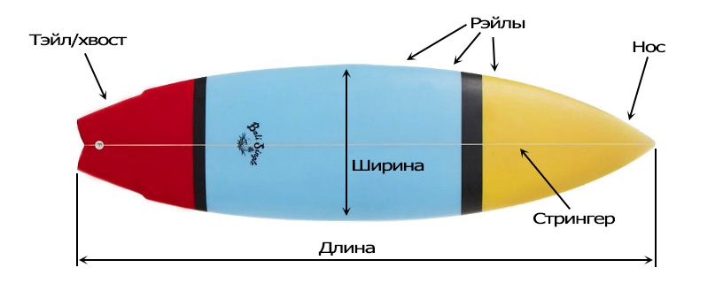 Как устроена доска для серфинга
