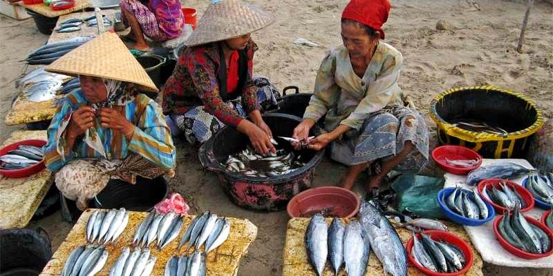 рыбные районы Бали